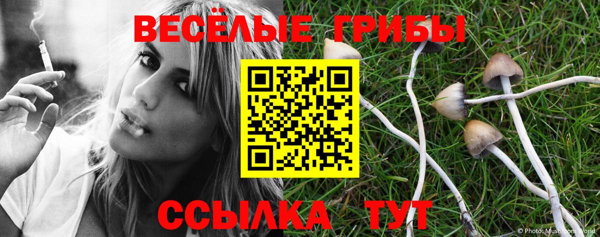 Псилоцибиновые грибы MAGIC MUSHROOMS  купить наркоту  Богородицк  Вход с VPN  Галлюциногенные грибы прущие грибы 